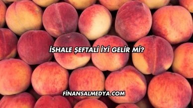 İshale Şeftali İyi Gelir mi?