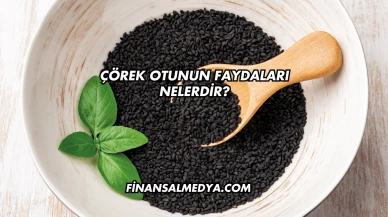 Çörek Otunun Faydaları Nelerdir?