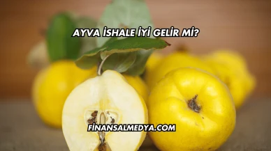 Ayva İshale İyi Gelir mi?