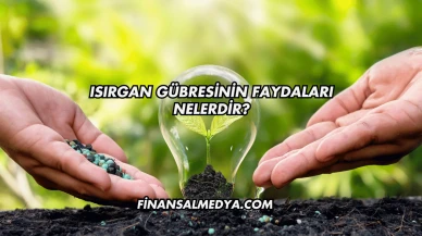 Isırgan Gübresinin Faydaları Nelerdir?