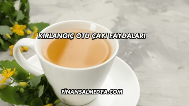 Kırlangıç Otu Çayı Faydaları