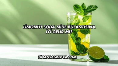 Limonlu Soda Mide Bulantısına İyi Gelir mi?