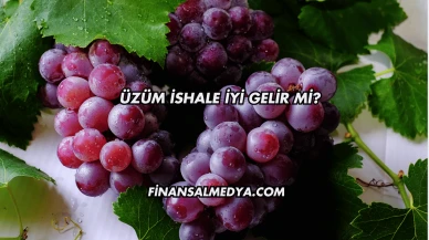 Üzüm İshale İyi Gelir mi?