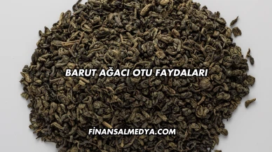 Barut Ağacı Otu Faydaları