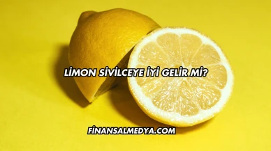 Limon Sivilceye İyi Gelir mi?