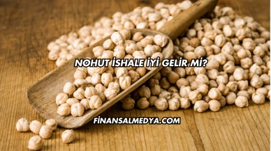 Nohut İshale İyi Gelir mi?