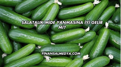 Salatalık Mide Yanmasına İyi Gelir mi?