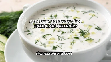 Salatalık Sütünün Cilde Faydaları Nelerdir?