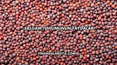Şalgam Tohumunun Faydaları