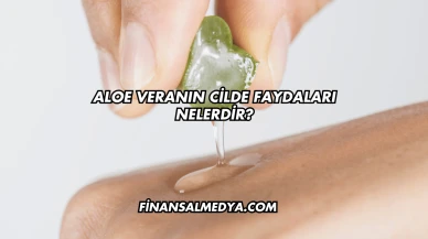 Aloe Veranın Cilde Faydaları Nelerdir?