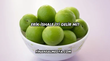 Erik İshale İyi Gelir mi?
