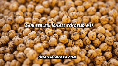 Sarı Leblebi İshale İyi Gelir mi?