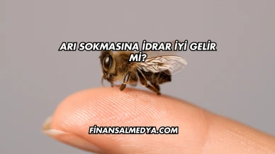 Arı Sokmasına İdrar İyi Gelir mi?