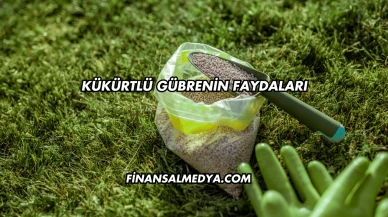 Kükürtlü Gübrenin Faydaları