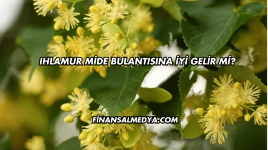 Ihlamur Mide Bulantısına İyi Gelir mi?