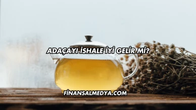 Adaçayı İshale İyi Gelir mi?