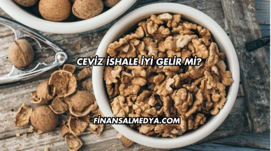 Ceviz İshale İyi Gelir mi?