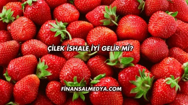 Çilek İshale İyi Gelir mi?