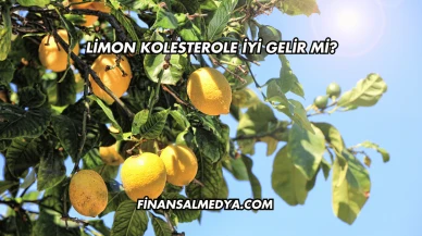 Limon Kolesterole İyi Gelir mi?