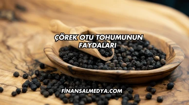 Çörek Otu Tohumunun Faydaları