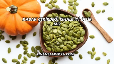Kabak Çekirdeği İshale İyi Gelir mi?