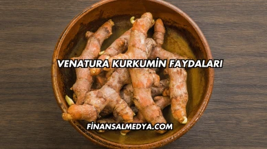 Venatura Kurkumin Faydaları