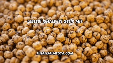 Leblebi İshale İyi Gelir mi?
