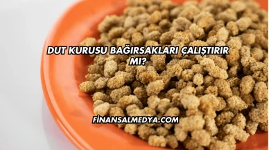 Dut Kurusu Bağırsakları Çalıştırır mı?