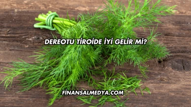 Dereotu Tiroide İyi Gelir mi?