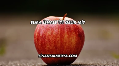 Elma İshale İyi Gelir mi?