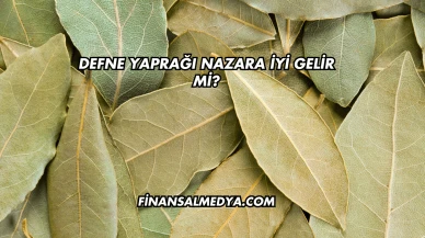 Defne Yaprağı Nazara İyi Gelir mi?