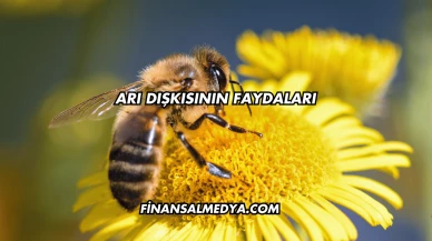 Arı Dışkısının Faydaları