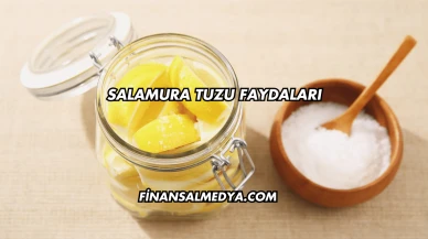Salamura Tuzu Faydaları
