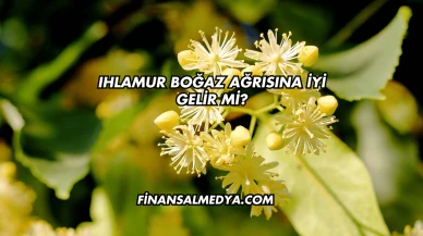 Ihlamur Boğaz Ağrısına İyi Gelir mi?
