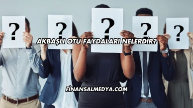 Akbaşlı Otu Faydaları Nelerdir?