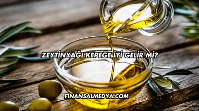 Zeytinyağı Kepeğe İyi Gelir mi?