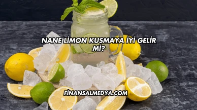Nane Limon Kusmaya İyi Gelir mi?