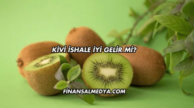 Kivi İshale İyi Gelir mi?
