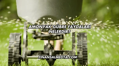 Amonyak Gübre Faydaları Nelerdir?