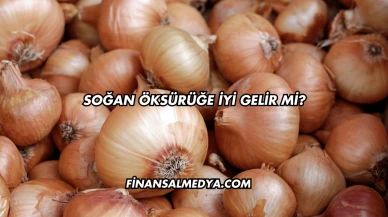 Soğan Öksürüğe İyi Gelir mi?