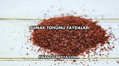 Sumak Tohumu Faydaları