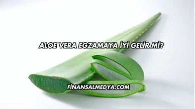 Aloe Vera Egzamaya İyi Gelir mi?