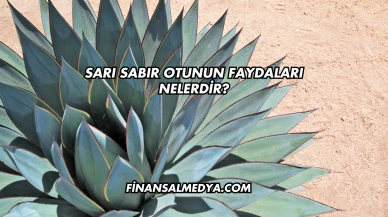 Sarı Sabır Otunun Faydaları Nelerdir?