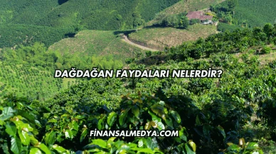 Dağdağan Faydaları Nelerdir?