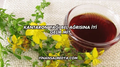 Kantaron Yağı Bel Ağrısına İyi Gelir mi?