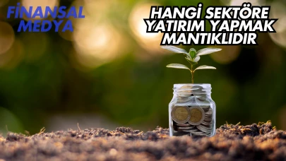 Hangi Sektöre Yatırım Yapmak Mantıklıdır