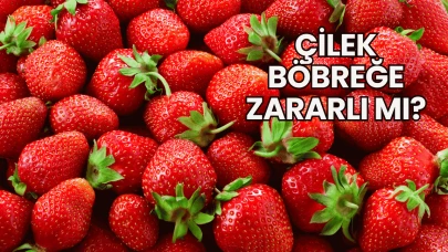 Çilek Böbreğe Zararlı mı?