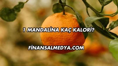 1 Mandalina Kaç Kalori?