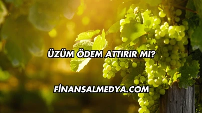 Üzüm Ödem Attırır mı?