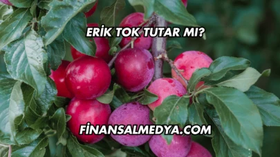 Erik Tok Tutar mı?